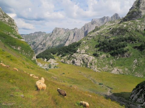 montenegro-grbaja-valley