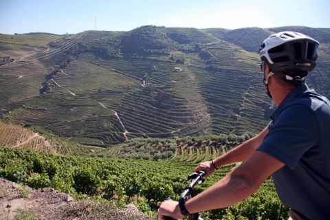 Douro-Chaves-Portugal-wijnvelden-wijnboeren