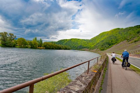 Cyclists along the river Moselle