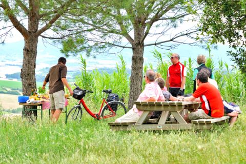 Radelgruppe macht Picknick im Grünen