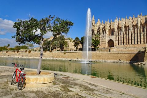 Rad vor Kathedrale in Palma 