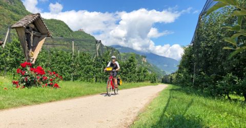 Radfahrer in Südtirol durch Apfelgärten