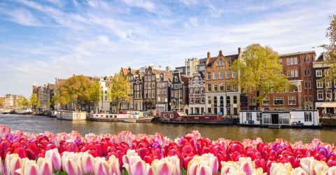 Blick auf Amsterdam mit Tulpen 