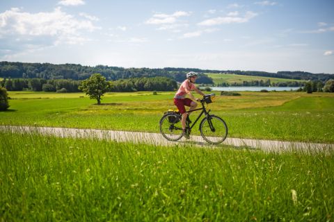 Radfahrerin im Salzburger Seen Gebiet
