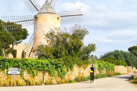 Cyclist with windmill