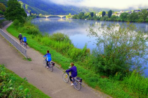 Cycle path along the Mosel