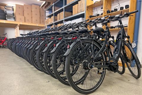 Our rental bikes in the bike store