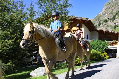 Pferde beim Ausritt in Tirol