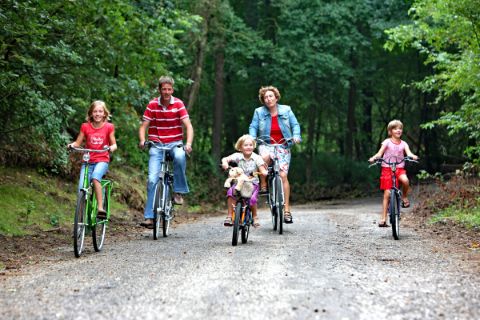 Familie radelt durch den Wald in Holland