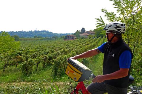Radfahrer genießt den Ausblick auf einen Weingarten