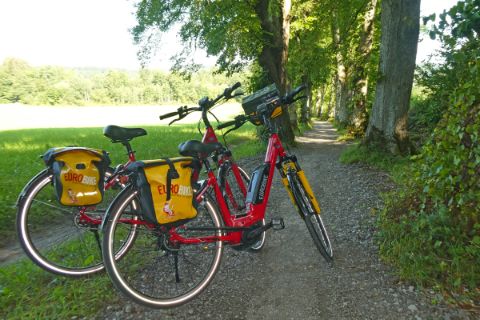 Eurobike E-Bikes im Wald