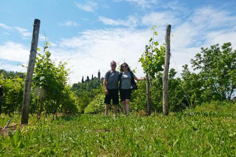 Radler im Weingarten auf dem Weg von Bassano nach Treviso