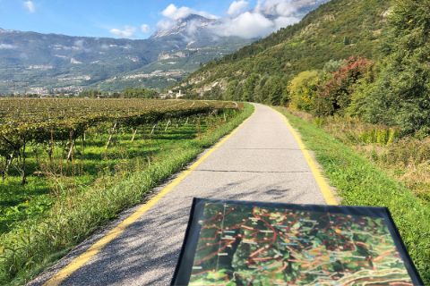 Radkarte am Radweg durch die Weingärten Südtirols