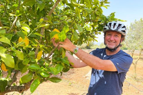 Andi vor einem der vielen Zitronenbäume auf Mallorca