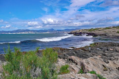 Küstenlandschaft von Playa de Palma