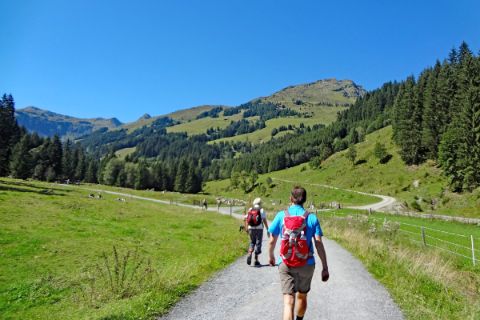 Genusswandern im Salzburger Pinzgau
