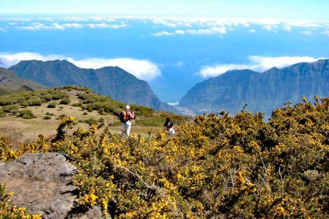 Höhenwanderung in der Gruppe auf Madeira
