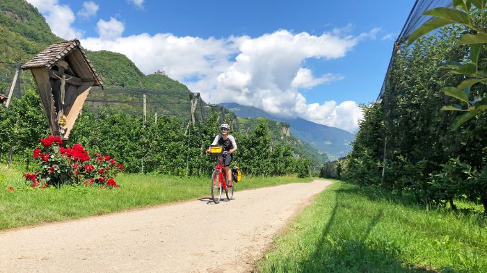 Radler zwischen den Apfelhainen in Südtirol
