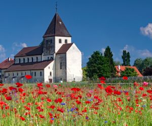 Poppy field and small castle