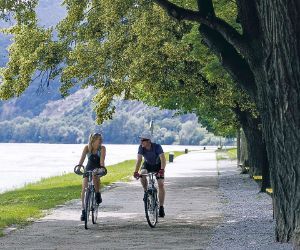 Cyclists on cycle path along the river Danube