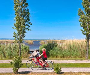 Zwei Radfahrerinnen am Schilfufer des Neusiedlersees