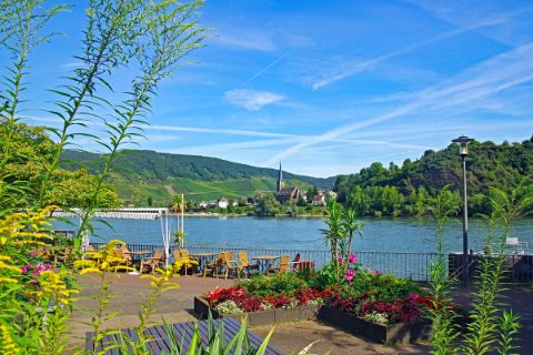 View to river Rhine