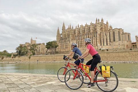 Cyclists in front of the cathedral in Palma