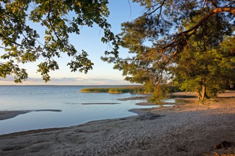 Lakeshore at Lake Müritz