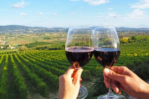 Weinverkostung in Chiorri