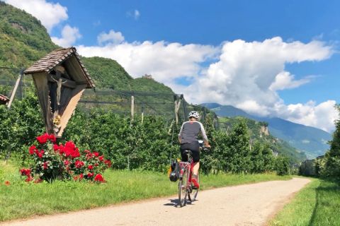 Radfahrer zwischen Apfelhainen in Südtirol
