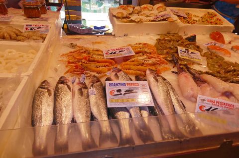 Auf dem Fischmarkt in Chioggia