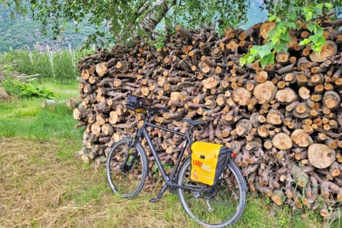 Wheel stop at the wood pile