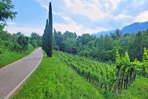 South Tyrolean Wine Route