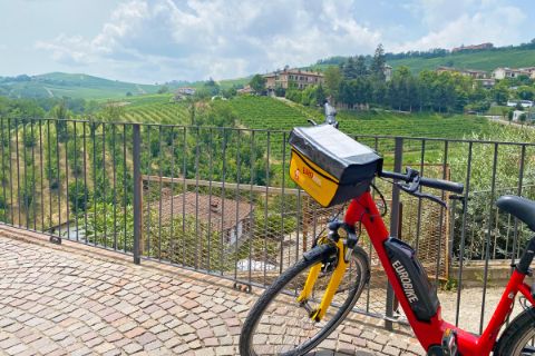 Bike with a view of the vineyards