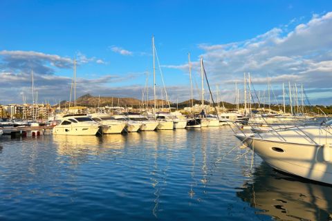 Boats in the harbour of Alcúdia