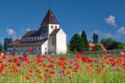 Poppy field and small castle