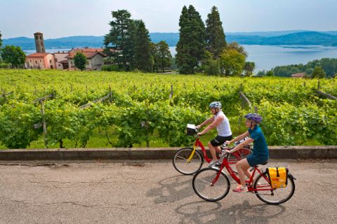 Cyclists in a vineyard near Lake Viverone