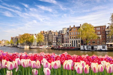 Blick auf Amsterdam mit Tulpen 