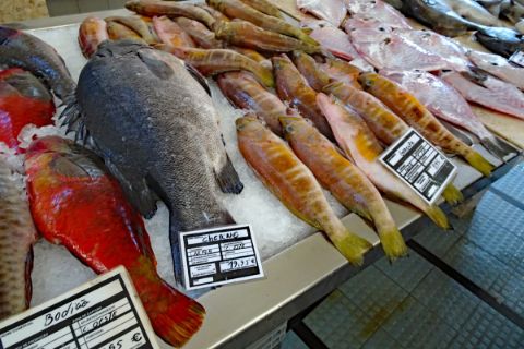 Fresh fishes at the market