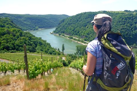 Wanderer mit Blick auf Weinberge und dem Rhein