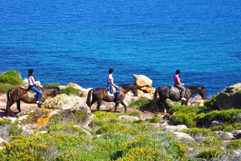 Pferde als Wanderbegleiter am Camí de Cavalls