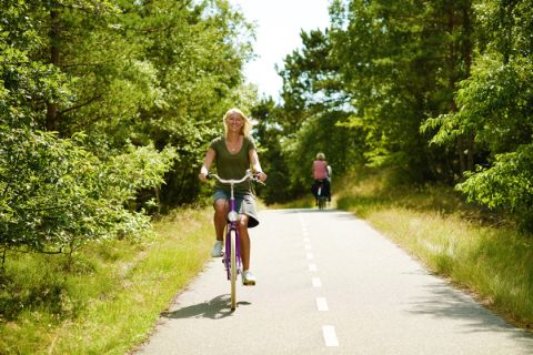 Cyclists on the cycle path 