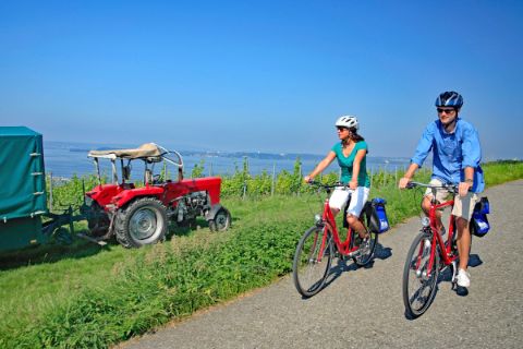 Cycling holidays at Lake Constance
