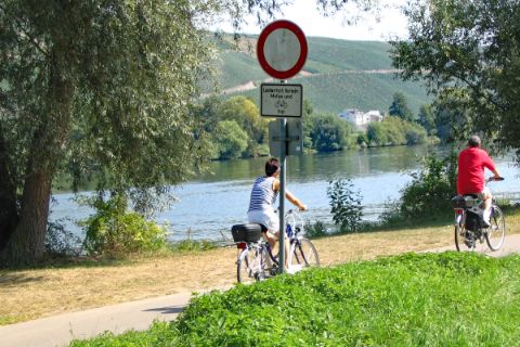 Cycle path on the lake shore 