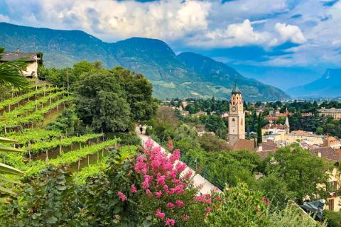 View of Merano<br/>