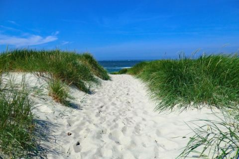 Dune path to the beach in North Frisia
