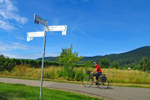 Cyclist on cycle path in the Palatinate