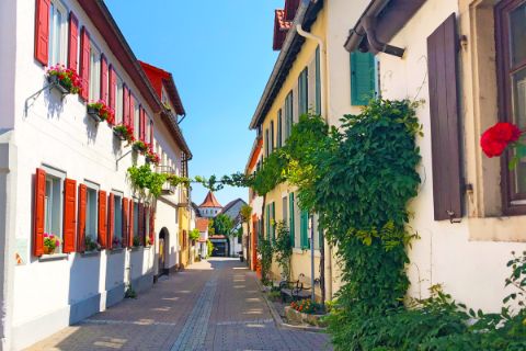 picturesque alley through a wine village