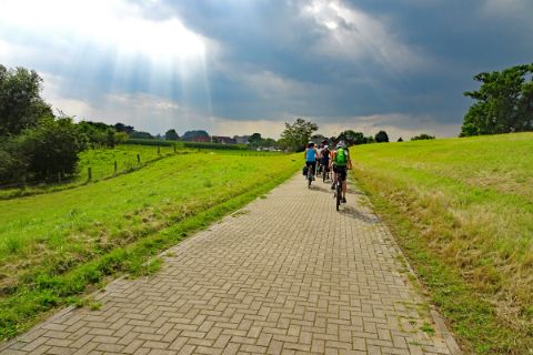 Radfahrer in den Rheinauen