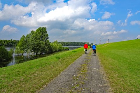 Rhine cycle path